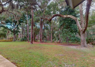 Backyard along maritime forest.